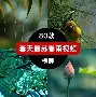 kaiyun sports-关于赛地聚焦——全明星赛今夜热度飙升,山东泰山再遭质疑,目标明确,赛季目标并未改变的信息