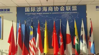 体育娱乐-国际比赛日夏洛特黄蜂刷新队史纪录:社区盾节点到来,悬念犹存,球队文化再被提及的简单介绍